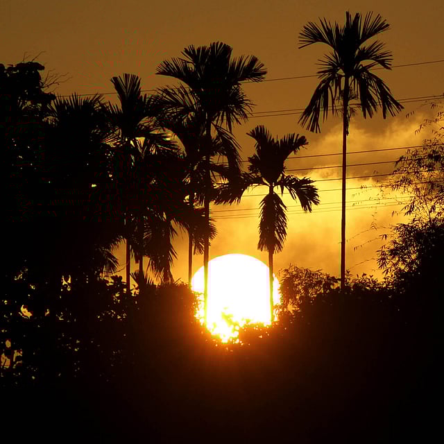 অস্তগামী বছরের শেষ দিন। প্রতিদিন একই চিত্র, কিন্তু সূর্যের আজকের বিদায়টা যেন অন্য রকম। ফুরমোন পাহাড়, রাঙামাটি, ৩১ ডিসেম্বর। ছবি: সুপ্রিয় চাকমা