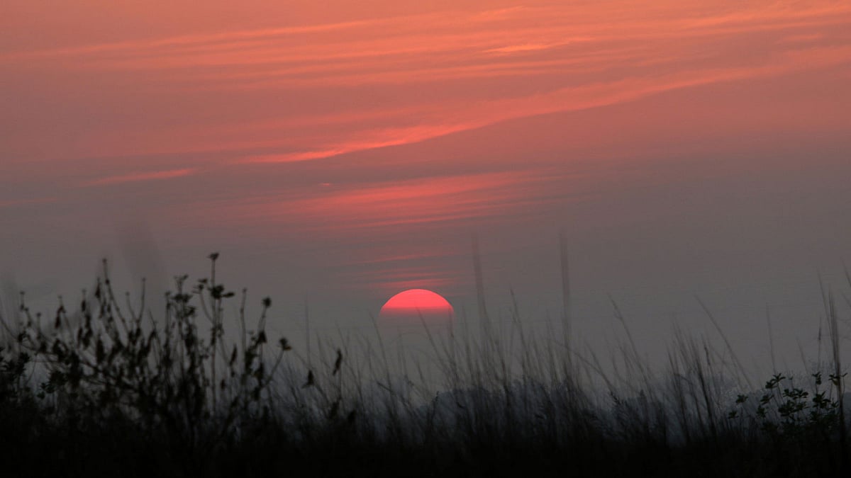 প্রতিদিন সূর্য অস্ত যায়। কিন্তু আজকের এই বিদায় একটু ভিন্ন। আজ বছরের শেষ দিন। দক্ষিণ কেরানীগঞ্জ, ঢাকা, ৩১ ডিসেম্বর। ছবি: আশরাফুল আলম