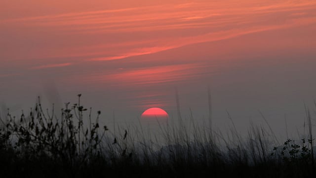 প্রতিদিন সূর্য অস্ত যায়। কিন্তু আজকের এই বিদায় একটু ভিন্ন। আজ বছরের শেষ দিন। দক্ষিণ কেরানীগঞ্জ, ঢাকা, ৩১ ডিসেম্বর। ছবি: আশরাফুল আলম
