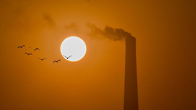 পশ্চিম আকাশে লাল রং ছড়িয়ে অস্তগামী বছরের শেষ দিন। বেলা শেষে নীড়ে ফিরছে পাখিরা। আবার সকাল হবে, শুরু হবে নতুন বছর। চর আশুতোষপুর, দোগাছি, পাবনা, ৩১ ডিসেম্বর। ছবি: হাসান মাহমুদ