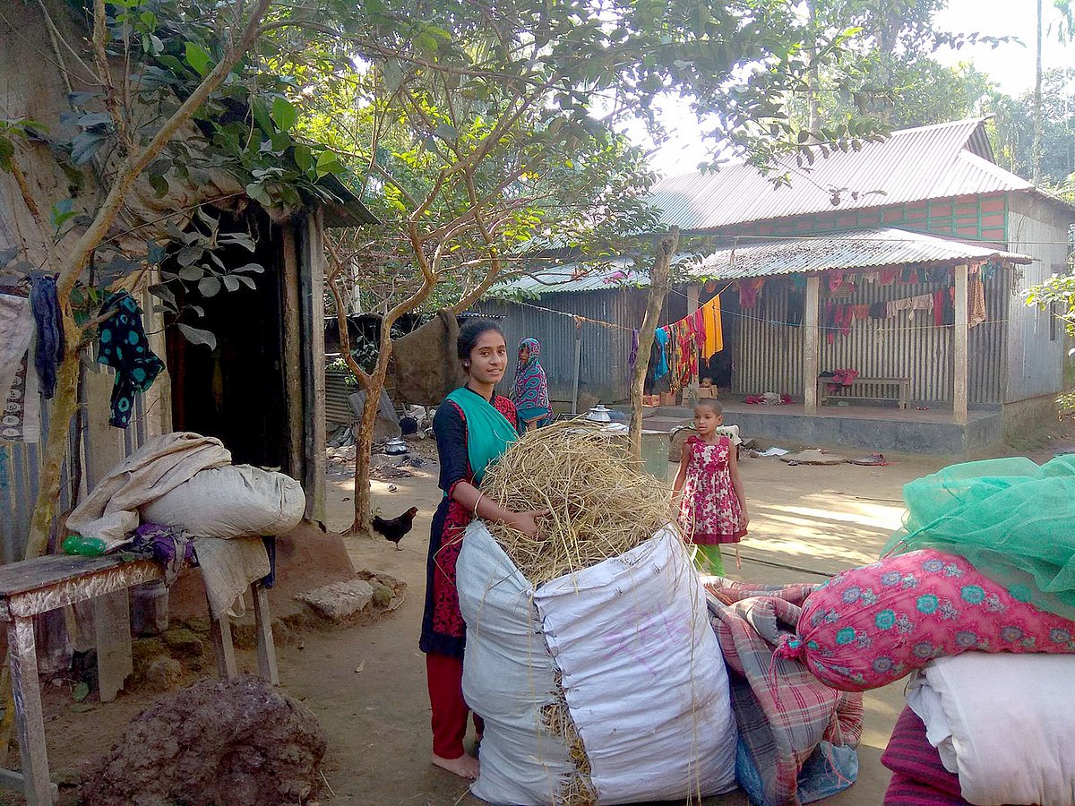বাড়ির উঠানে খড় শুকাচ্ছে নাজমা। ছবি: প্রথম আলো