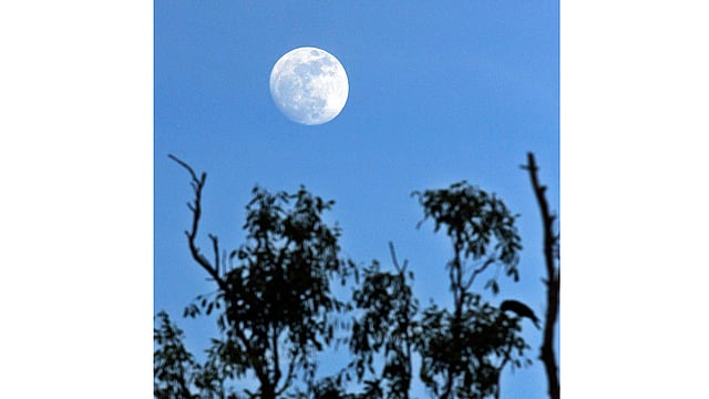 দিনের আলো থাকতে থাকতে আকাশে দেখা দিয়েছে চাঁদ। নীল আকাশে চাঁদ—এক ব্যতিক্রমী দৃশ্য। রাণী রাসমনির ঘাট এলাকা, চট্টগ্রাম, ৩১ ডিসেম্বর। ছবি: জুয়েল শীল