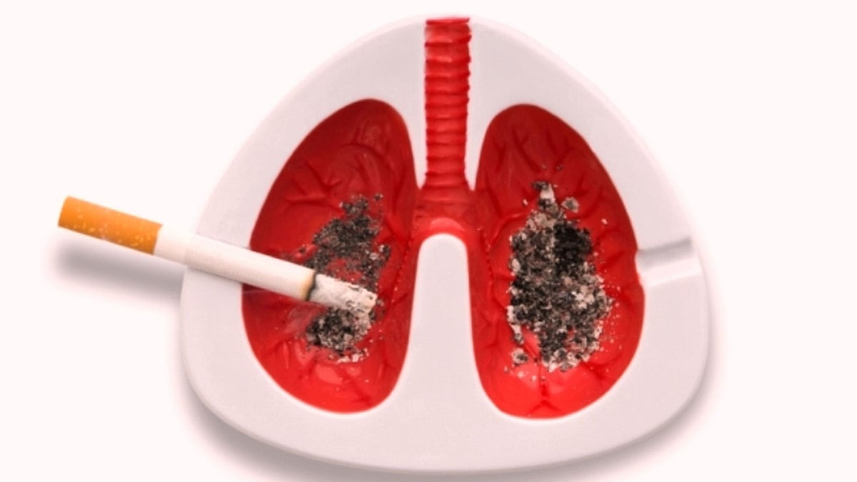 জীবনের প্রথম সিগারেটেই নেশার দ্বার খুলে দিতে পারে। ছবি: সংগৃহীত