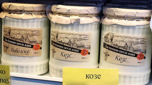 বুলগেরিয়ান কৌটাজাত দই। ছবি: বিবিসি