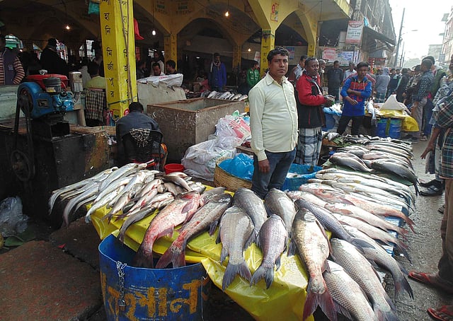 মেলায় ক্রেতার অপেক্ষায় সারি সারি মাছ সাজিয়ে রেখেছেন বিক্রেতারা। ছবি : শিমুল তরফদার