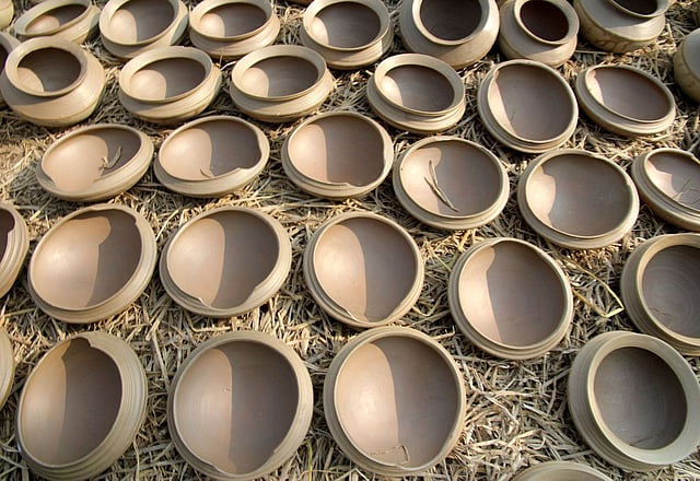 রোদে শুকাতে সাজিয়ে রাখা হয়েছে ‘কাটা খোলা’।