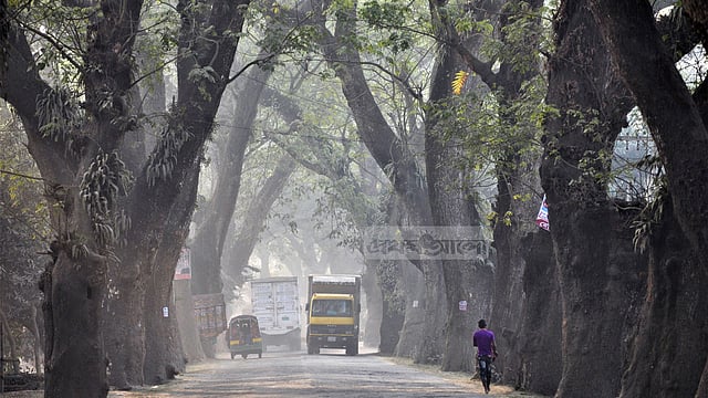 যশোর রোডের সেই গাছগুলো