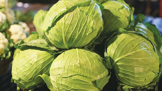 বাঁধাকপি