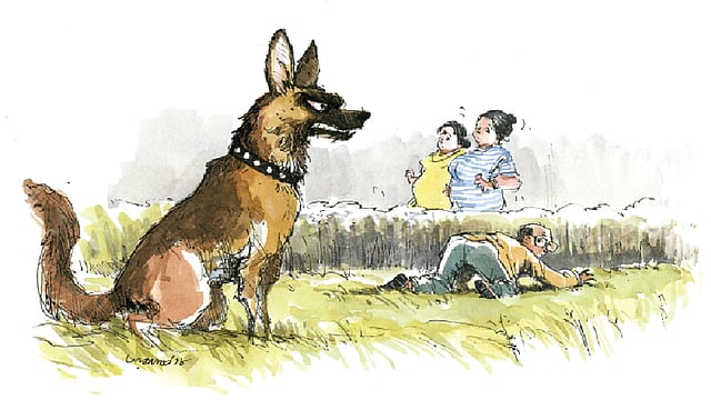 আঁকা: আরাফাত করিম