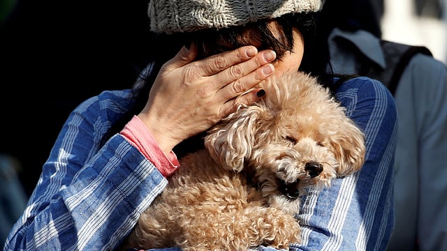 ২০১১ সালের ১১ মার্চ। প্রশান্ত মহাসাগরে আঘাত হানা প্রচণ্ড ভূমিকম্পে কেঁপে ওঠে জাপান। ভূমিকম্পের প্রভাবে সৃষ্টি হয় সুনামির। প্রলয়ংকরী সুনামির তোড়ে ভেসে যায় বহু প্রাণ, ঘরবাড়ি, স্থাপনা। মারাত্মকভাবে ক্ষতিগ্রস্ত হয় ফুকুশিমা পারমাণবিক বিদ্যুৎকেন্দ্র। প্রায় সাড়ে ১৮ হাজার মানুষ নিহত ও নিখোঁজ হয়। দিনটিকে স্মরণ করছেন জাপানিরা। কান্নায় ভেঙে পড়েন একজন। টোকিও, জাপান, ১১ মার্চ। ছবি: রয়টার্স