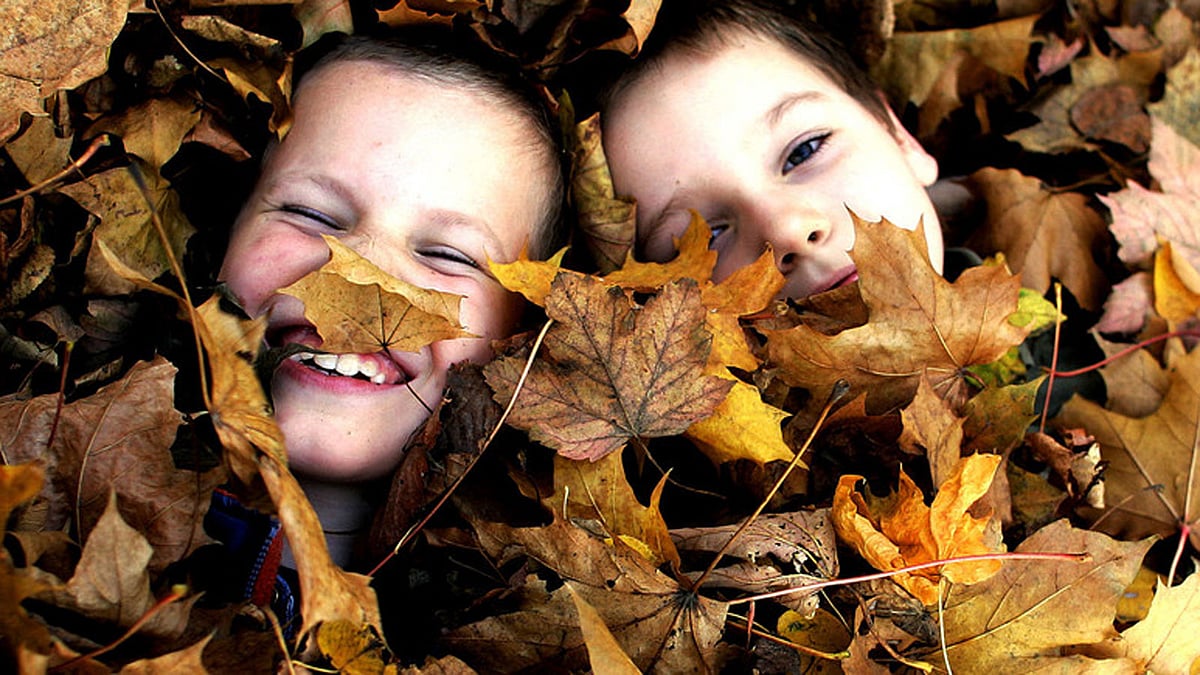 রয়টার্স ফাইল ছবি।