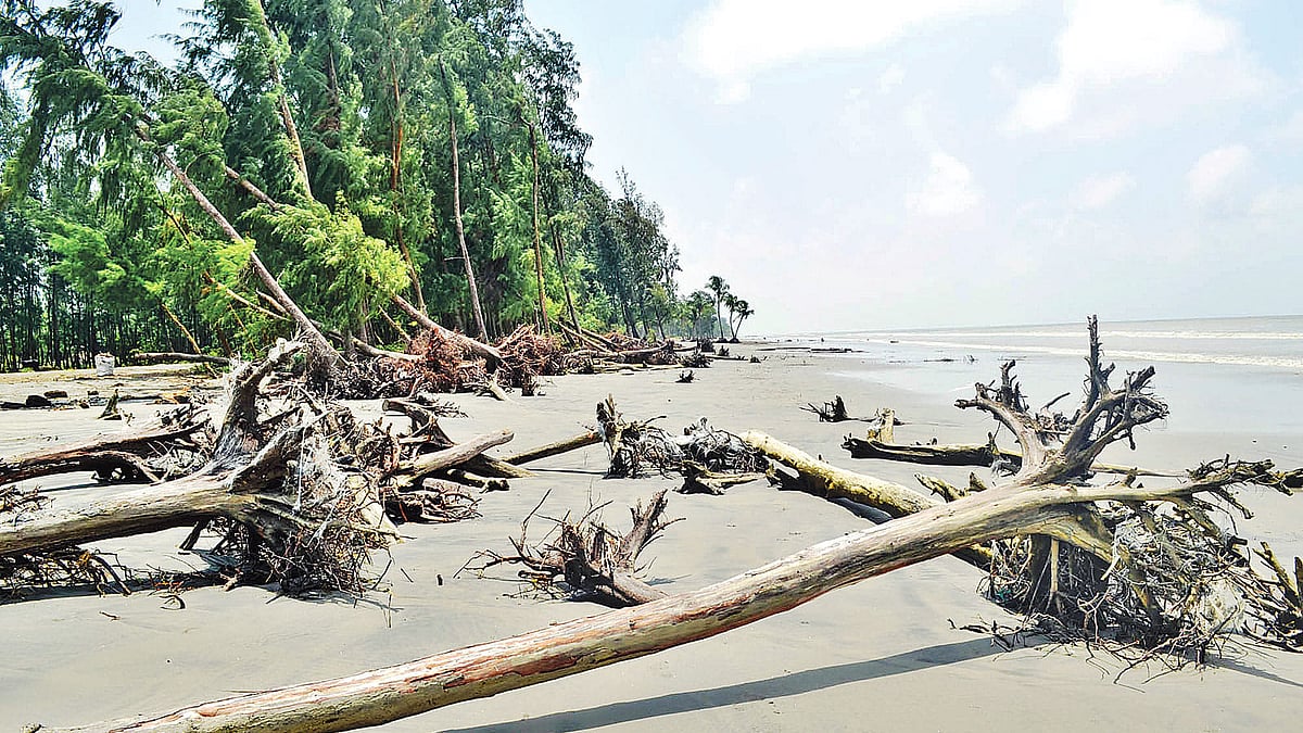 ফাইল ছবি: প্রথম আলো 