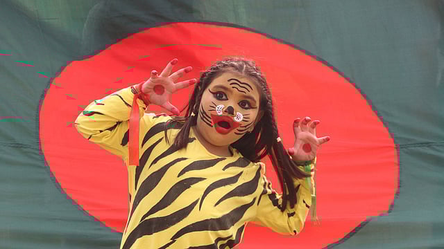 রয়েল বেঙ্গল টাইগারের সাজে এক শিশু। মুক্তিযুদ্ধ স্মৃতি স্টেডিয়াম, রাজশাহী। ছবি: শহীদুল ইসলাম