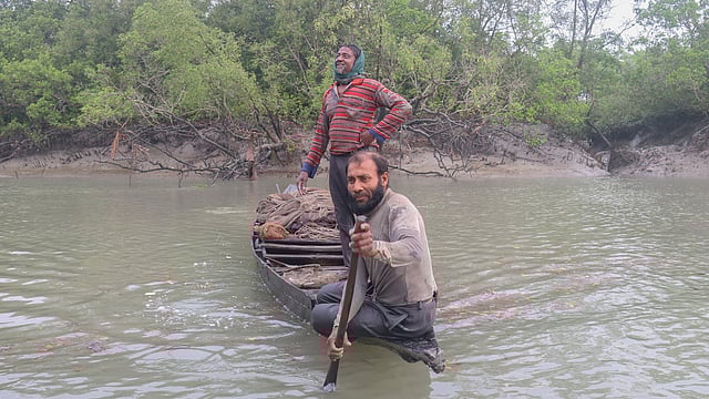 সুন্দরবনের জেলেরা রাতভর বিভিন্ন খালে ঘুরে ঘুরে মাছ ধরেন। বজবজা, সুন্দরবন, খুলনা। ছবি: সাদ্দাম হোসেন
