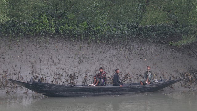গোলপাতা সংগ্রহ করতে এসেছেন এই বনজীবীরা। বজবজা, সুন্দরবন, খুলনা। ছবি: সাদ্দাম হোসেন