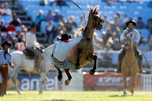 ঘোড়ার সঙ্গে শূন্যে ঘোড়সওয়ার। মন্টেভিডিও, উরুগুয়ে, ২৭ মার্চ। ছবি: রয়টার্স