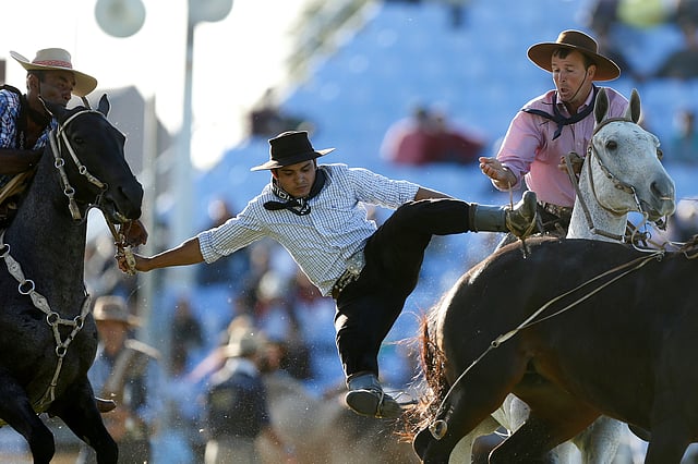 ঘোড়ার পিঠে চেপে থাকতে একজনের প্রাণপণ চেষ্টা। মন্টেভিডিও, উরুগুয়ে, ২৭ মার্চ। ছবি: রয়টার্স