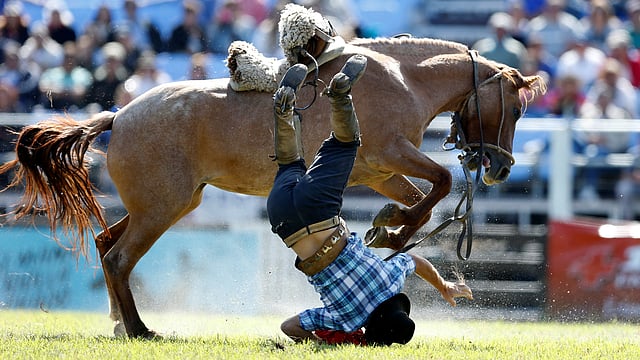 ঘোড়ার পিঠ থেকে পড়ে ঘোড়ার খুরের তলায়! মন্টেভিডিও, উরুগুয়ে, ২৭ মার্চ। ছবি: রয়টার্স