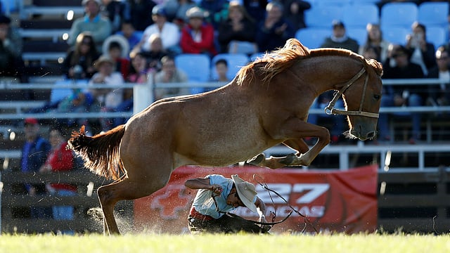 একটুর জন্য বেঁচে যাওয়া। মন্টেভিডিও, উরুগুয়ে, ২৭ মার্চ। ছবি: রয়টার্স