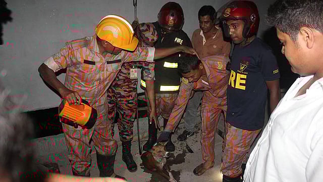 রাজশাহীতে রিজার্ভ ট্যাংক থেকে কুকুরছানা উদ্ধার হয়। ছবি: সংগৃহীত