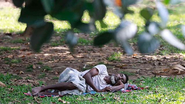 বৈশাখ শুরু হয়েছে। বাড়ছে গরম। গরমে ক্লান্তি নিয়ে গাছের ছায়ায় একটু ঘুমিয়ে নিচ্ছেন এক ব্যক্তি। সোহরাওয়ার্দী উদ্যান, ঢাকা, ১৬ এপ্রিল। ছবি: শুভ্র কান্তি দাশ