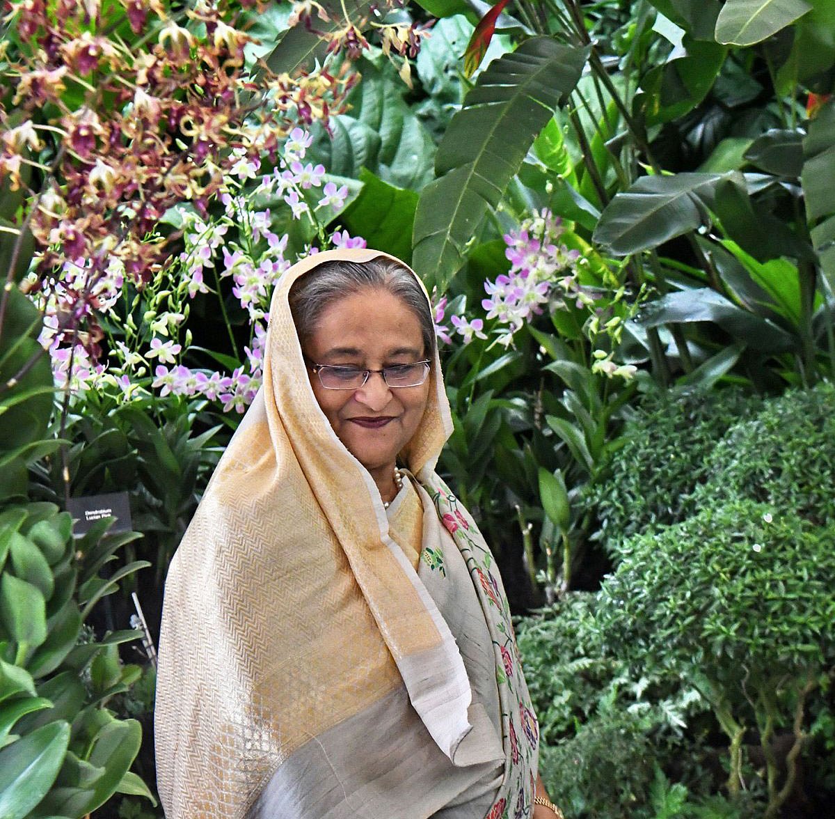 প্রধানমন্ত্রী শেখ হাসিনা। ছবি: এএফপি