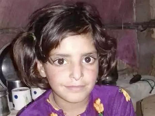 বর্বরতার শিকার আট বছরের শিশু আসিফা