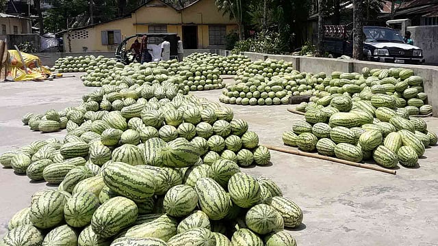 ভোলার খালপাড়ে বসেছে তরমুজের বাজার। জেলায় এ বছর প্রায় ৪০০ হেক্টর জমিতে তরমুজের আবাদ হয়েছে। এ তরমুজ সারা দেশে যাচ্ছে। খালপাড়, ভোলা পৌরসভা, ভোলা, ২০ এপ্রিল। ছবি: নেয়ামতউল্যাহ
