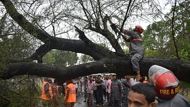সকালের বৈশাখী ঝ‌ড়ে রাজশাহী নগ‌রে বেশ কিছু গাছ উপড়ে গেছে। সড়ক থেকে সেগুলো সরানোর কাজ চলছে। রাজশাহী-নওগাঁ মহাসড়ক, রাজশাহী, ৩০ এপ্রিল। ছ‌বি: শহীদুল ইসলাম