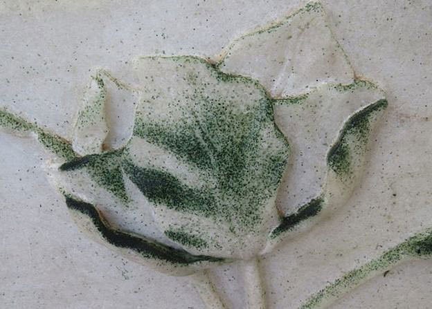 তাজমহলের সাদা মার্বেল পাথরে সবুজাভ। ছবি: আর্কিওলোজিক্যাল সার্ভে অব ইন্ডিয়ার সৌজন্যে