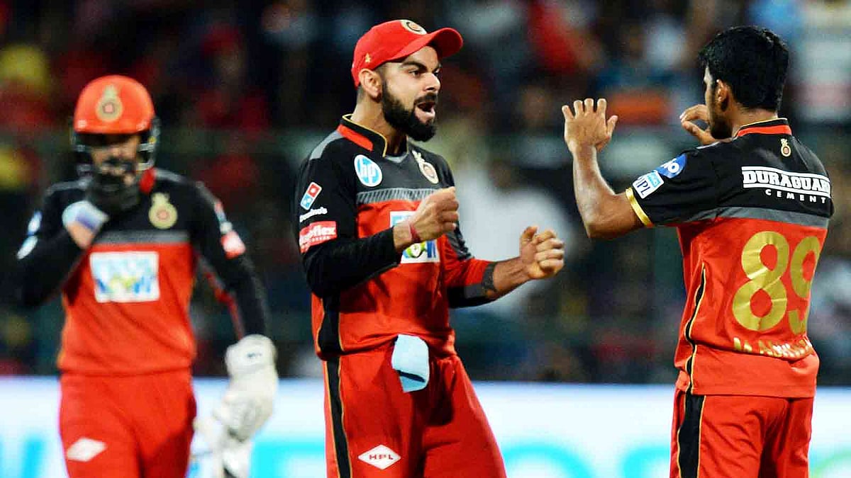 কোহলিদের উল্লাস। ছবি এএফপি