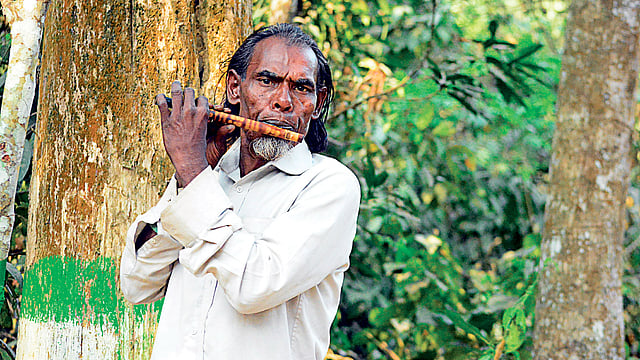 মো. মদিনার সব সময়ের সঙ্গী বাঁশি। ছবি: লেখক