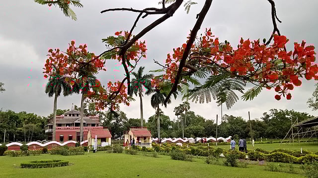 রবিঠাকুরের স্মৃতিবিজড়িত বাড়িটি এখন প্রত্নতত্ত্ব অধিদপ্তরের রক্ষণাবেক্ষণে রয়েছে।