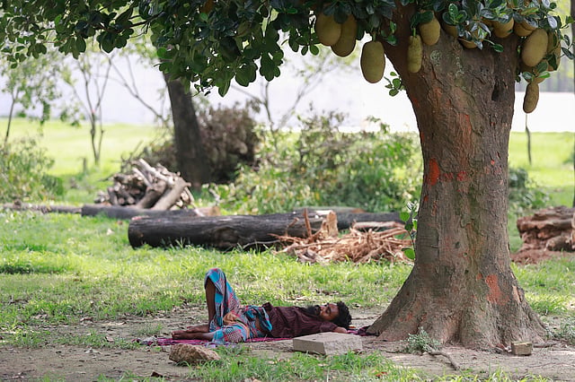 দিনমজুরের ঘুম নিয়ে বিলাসিতা নেই। ক্লান্ত শরীর এলিয়ে দিতে পারলেই হলো। সোহরাওয়ার্দী উদ্যান, ঢাকা, ৮ মে। ছবি: শুভ্র কান্তি দাশ