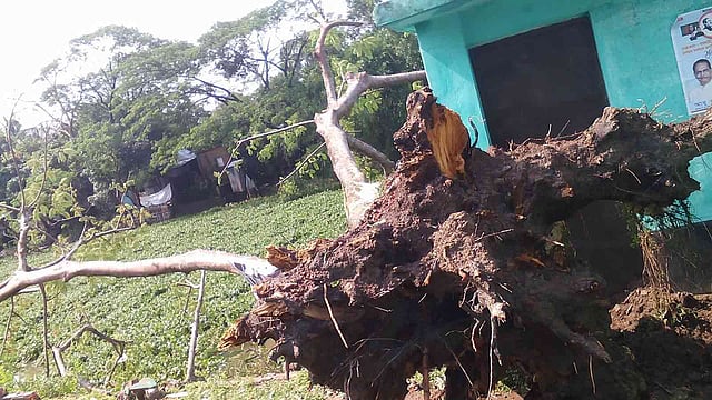 ঝড়ে নেত্রকোনা শহরের বিভিন্ন স্থানে গাছ উপড়ে গেছে। বিদ্যুতের খুঁটি ভেঙে পড়ে আছে রাস্তায়। শেষ খবর পাওয়া পর্যন্ত ঝড়ে মারা গেছেন একজন। নেত্রকোনা, ১১ মে। ছবি: প্রথম আলো