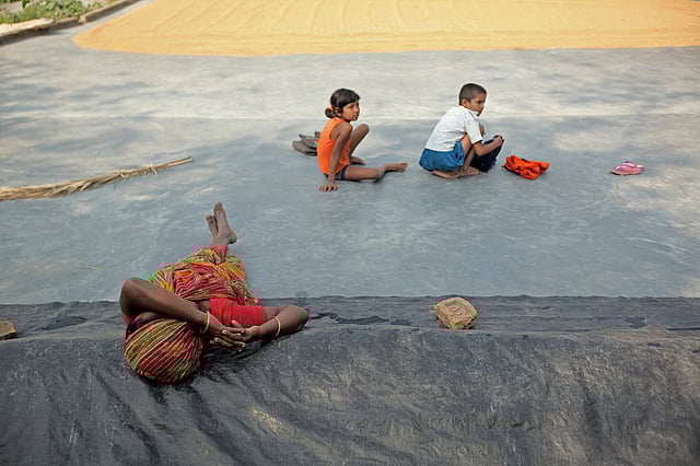 ধান শুকানোর কাজ এবং শিশুদের পড়াশোনার দায়িত্ব থেকে একটু ফুরসত পেয়ে জিরিয়ে নিচ্ছেন মা। সুনামগঞ্জ। ছবি: সুমন ইউসুফ