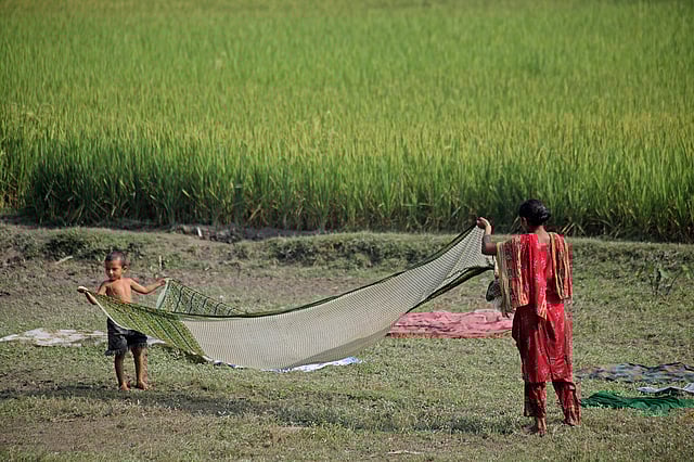 মায়ের কাজে সাহায্য করছে সন্তান। সিরাজগঞ্জ। ছবি: সুমন ইউসুফ