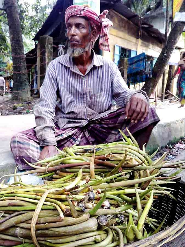 পাহাড়ি এলাকা থেকে কচুর লতি সংগ্রহ করে বিক্রির জন্য বসেছেন এক বিক্রেতা। প্রতি আঁটি কচুর লতি ৩০-৪০ টাকায় বিক্রয় করছেন তিনি। শ্রীমঙ্গল কলেজ রোড, মৌলভীবাজার, ১৭ মে। ছবি: শিমুল তরফদার