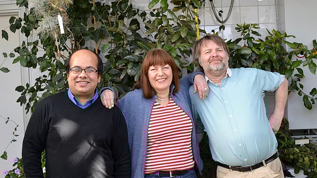 ড. সন্ধির সঙ্গে গবেষণা দলের বাকি দুই সদস্য—মারিয়া গ্রেগার ও টমি ল্যান্ডবার্গ