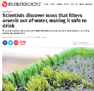 সন্ধিদের গবেষণা নিয়ে ইনডিপেনডেন্ট পত্রিকায় প্রকাশিত খবর