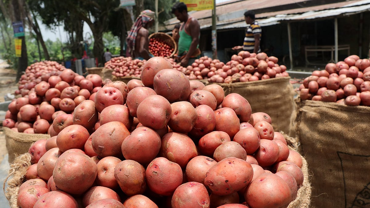 ফাইল ছবি