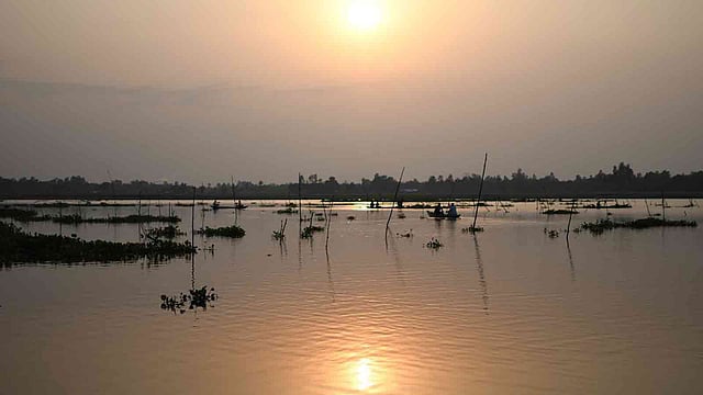 জামালপুরের সুলতাননগর গ্রামের চারদিকে বামুনজি বিল। ছবি: লেখক