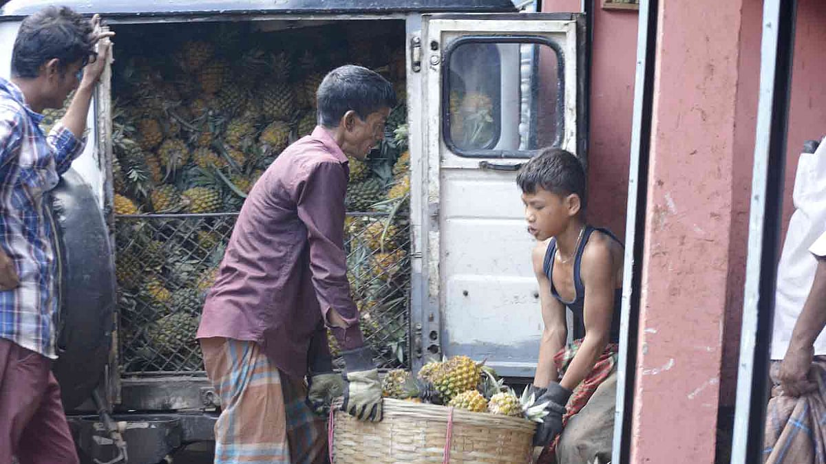 উপজেলার বিভিন্ন বাগান থেকে আসা আনারস গাড়ি থেকে নামানো হচ্ছে। শ্রীমঙ্গল নতুন বাজার, মৌলভীবাজার, ১৯ মে। ছবি: শিমুল তরফদার