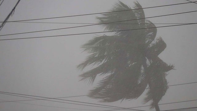 প্রথম আলো। ফাইল ছবি