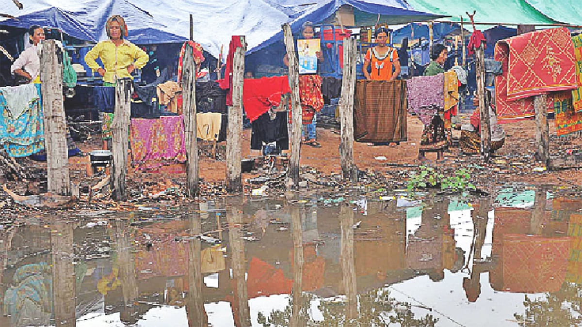 রবার্ট ফ্রস্ট ট্রেইলের সোনালি পরাগ-এ বলা হয়েছে এসব বিচিত্র মানুষের কথা