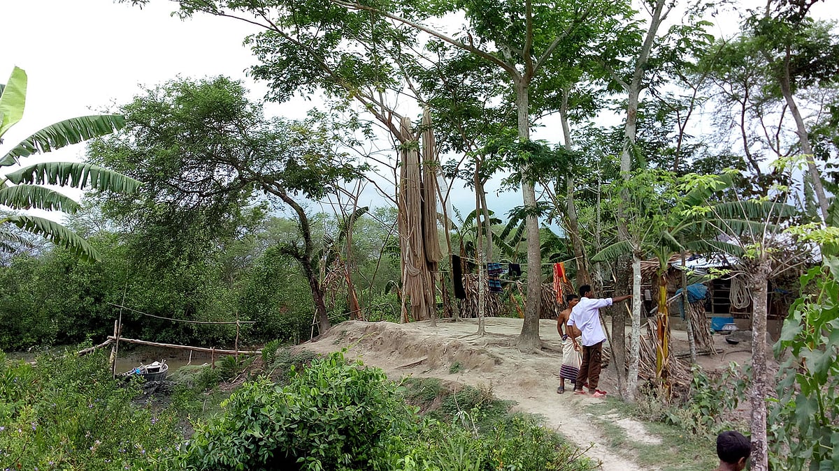 সুন্দরবন ঘেঁষে এভাবেই বসতি গড়ে উঠছে। ছবি: প্রথম আলো