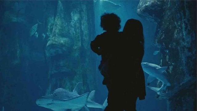 ব্রিটিশ গোয়েন্দা সংস্থা এমআইসিক্সের বিজ্ঞাপন