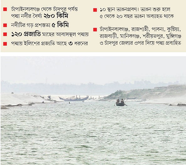 চর পড়ে পদ্মা ভরাট হয়ে গেছে। পদ্মা প্রবাহিত হচ্ছে এক কিনার দিয়ে। সম্প্রতি কুষ্টিয়া জেলার সুলতানপুর এলাকায়।  ছবি: তৌহিদী হাসান