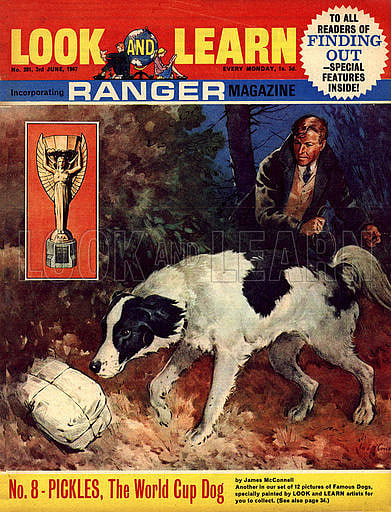 ১৯৬৬ বিশ্বকাপের সেই ‘বীর’ কুকুর পিকলস। চুরি যাওয়া ট্রফি উদ্ধার করে আয়োজকদের মান বাঁচিয়েছিল এটিই। ছবি: সংগৃহীত