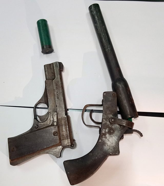 নাজমুলের কাড়ি থেকে উদ্ধার হওয়া অস্ত্র। ছবি: প্রথম আলো